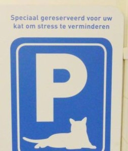 Dierenkliniek_de_Paltrok_kat_stress_verminderen